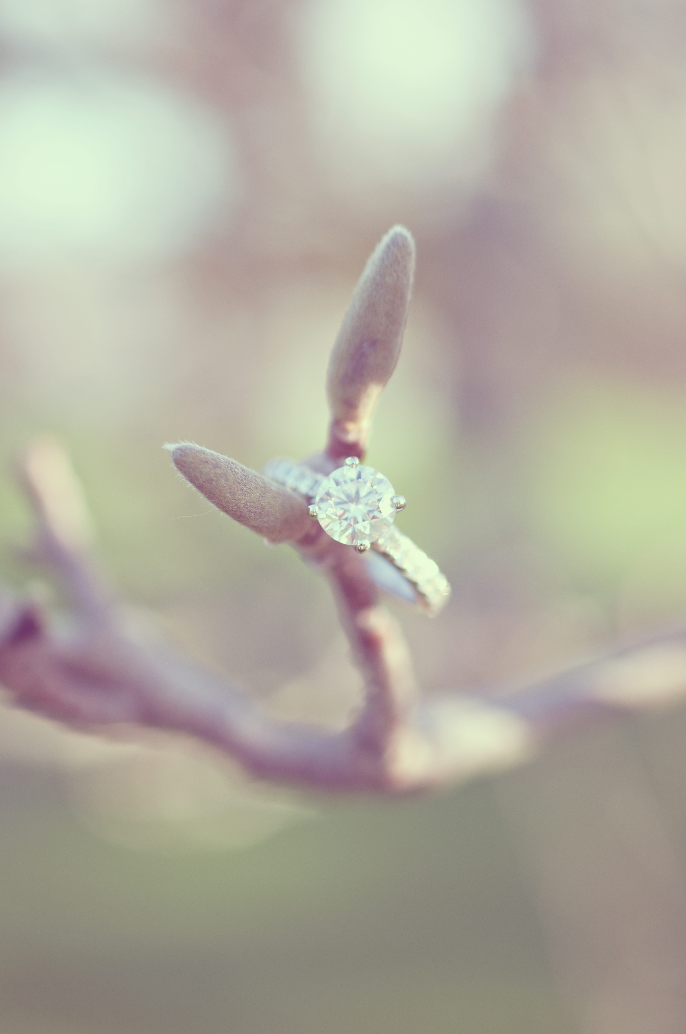 London Ontario Wedding Photographer