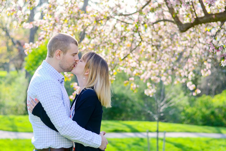 Couples Photographer London Ontario, Couples Photography London Ontario, London Ontario, London Ontario Engagement Photography, London Ontario Engagement Photographer, Engagement Photography in London Ontario, Engagement Photographer in London Ontario, Engagement Photography London Ontario, Engagement Photographer London Ontario, Engaged, Engagement , Apple Blossom Trees, Springbank Park