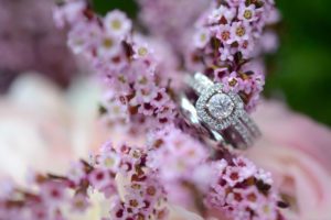 London Ontario Wedding Photographer, London Ontario Wedding Photography, Michelle A Photography