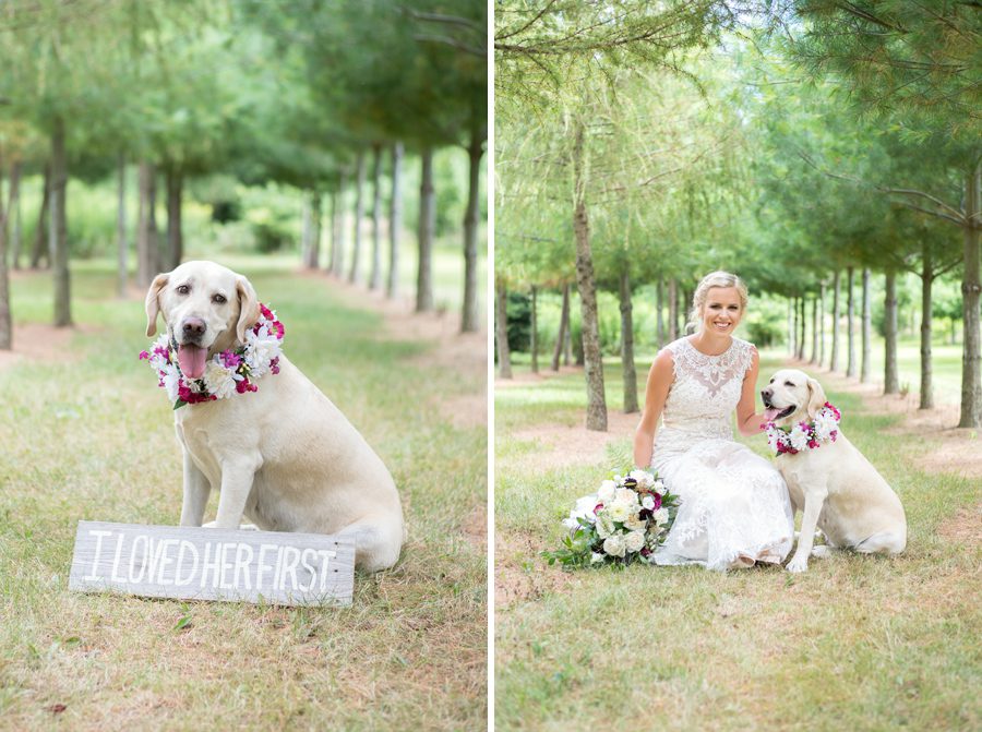 London Ontario Wedding, Family Farm Wedding, London Ontario Wedding Photography, London Ontario Wedding Photographer, Wedding Photography London Ontario, Wedding Photographer London Ontario, Michelle A Photography, Michelle A Photography London Ontario