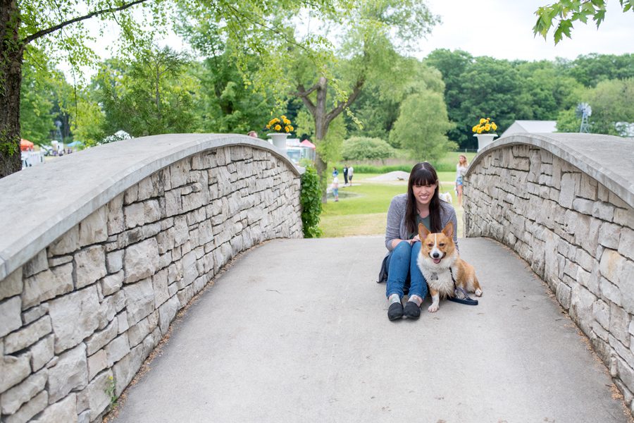 Bark in the Park, Bark in the Park 2018, Bark in the Park London Ontario, Plunkett Estate, London Ontario Photographer, Photographer London Ontario, Michelle A Photography