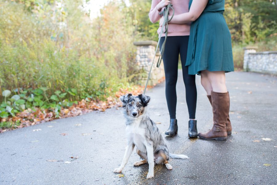 Springbank Gardens, London Ontario Engagement Photography, London Ontario Engagement Photographer, Michelle A Photography