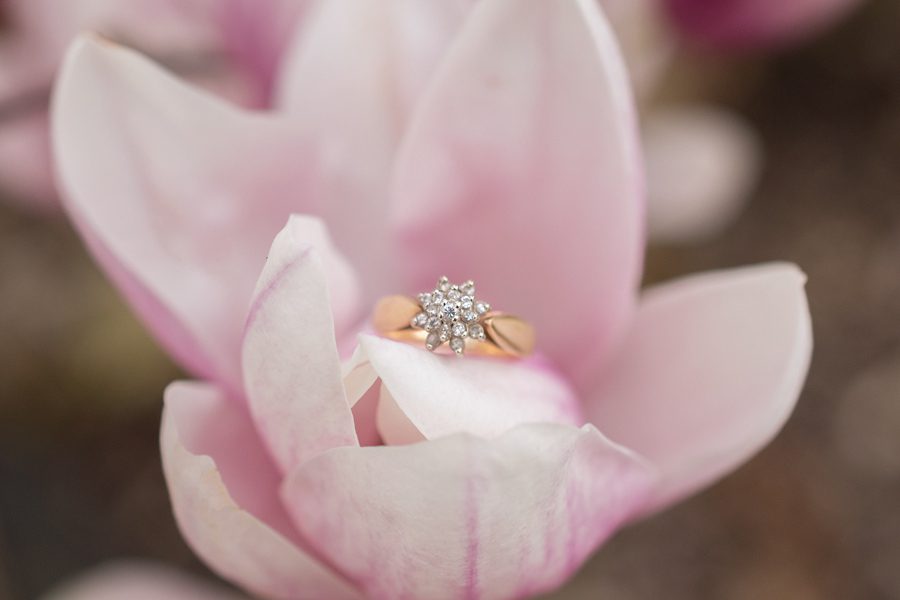 McMaster University, Hamilton Ontario Engagement Photography, Hamilton Ontario Engagement Photographer, Michelle A Photography