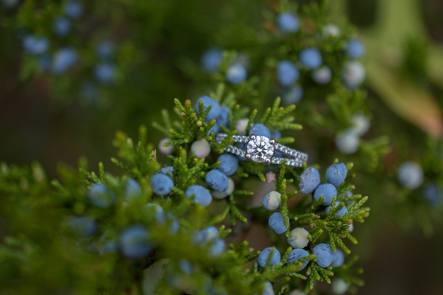 Provincial Park, Pinery Provincial Park, Grand Bend Ontario Engagement Photography, Michelle A Photography