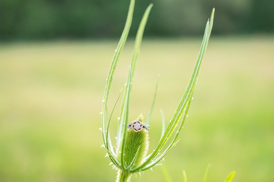 Coldstream Conservation Area, London Ontario Engagement Photography, London Ontario Engagement Photographer, Michelle A Photography