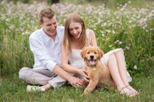 Couple sitting in field smiling down at 12 week golden puppy