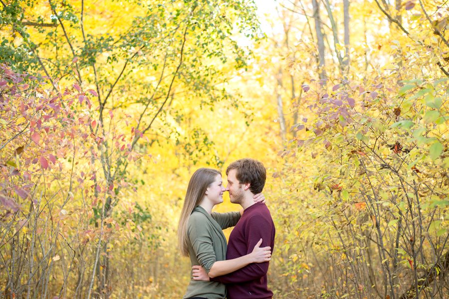 Forest Engagement Session, Komoka Provincial Park, London Ontario Engagement Photography, Michelle A Photography