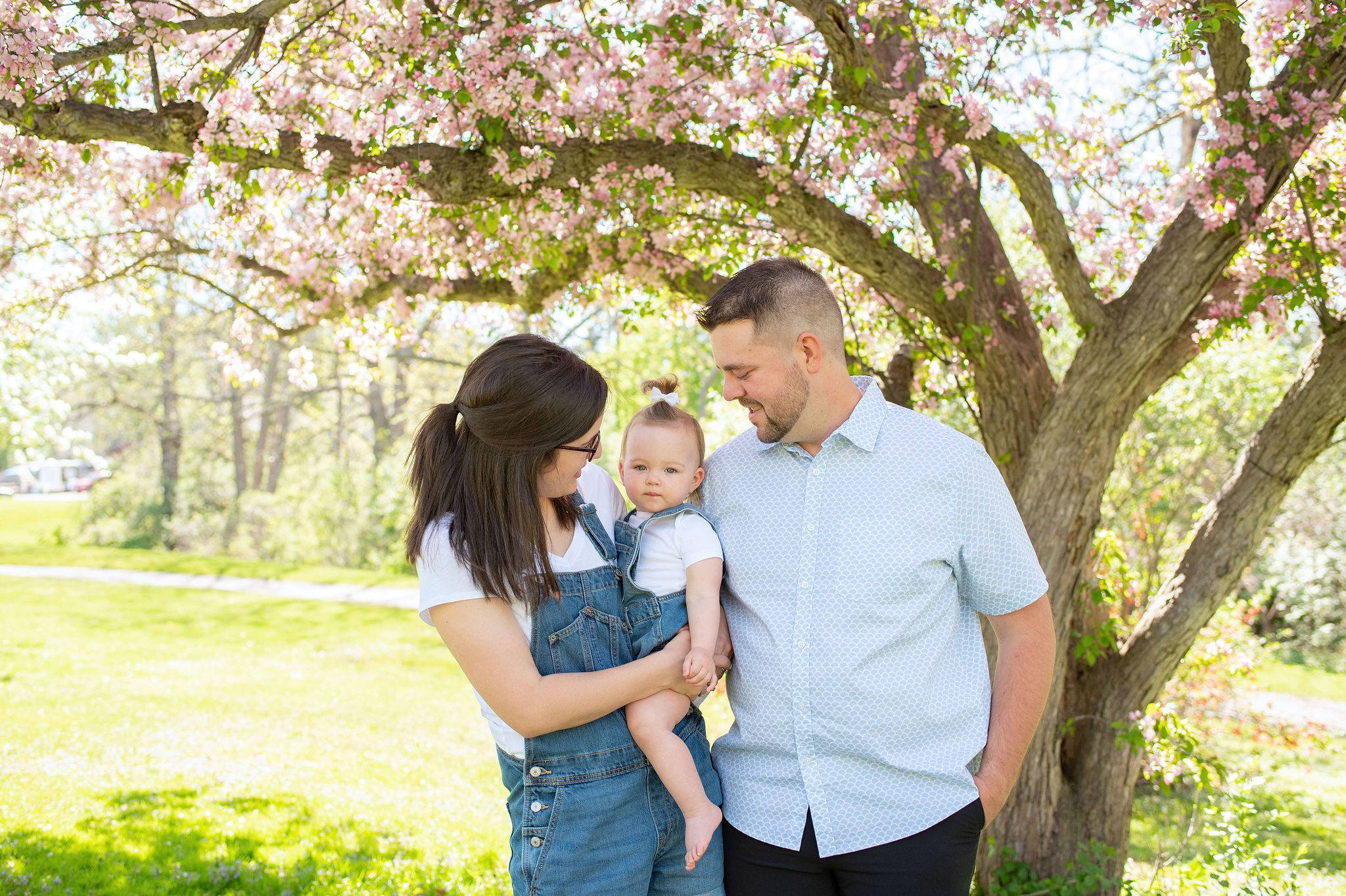 family of 3 beneath a pink tree