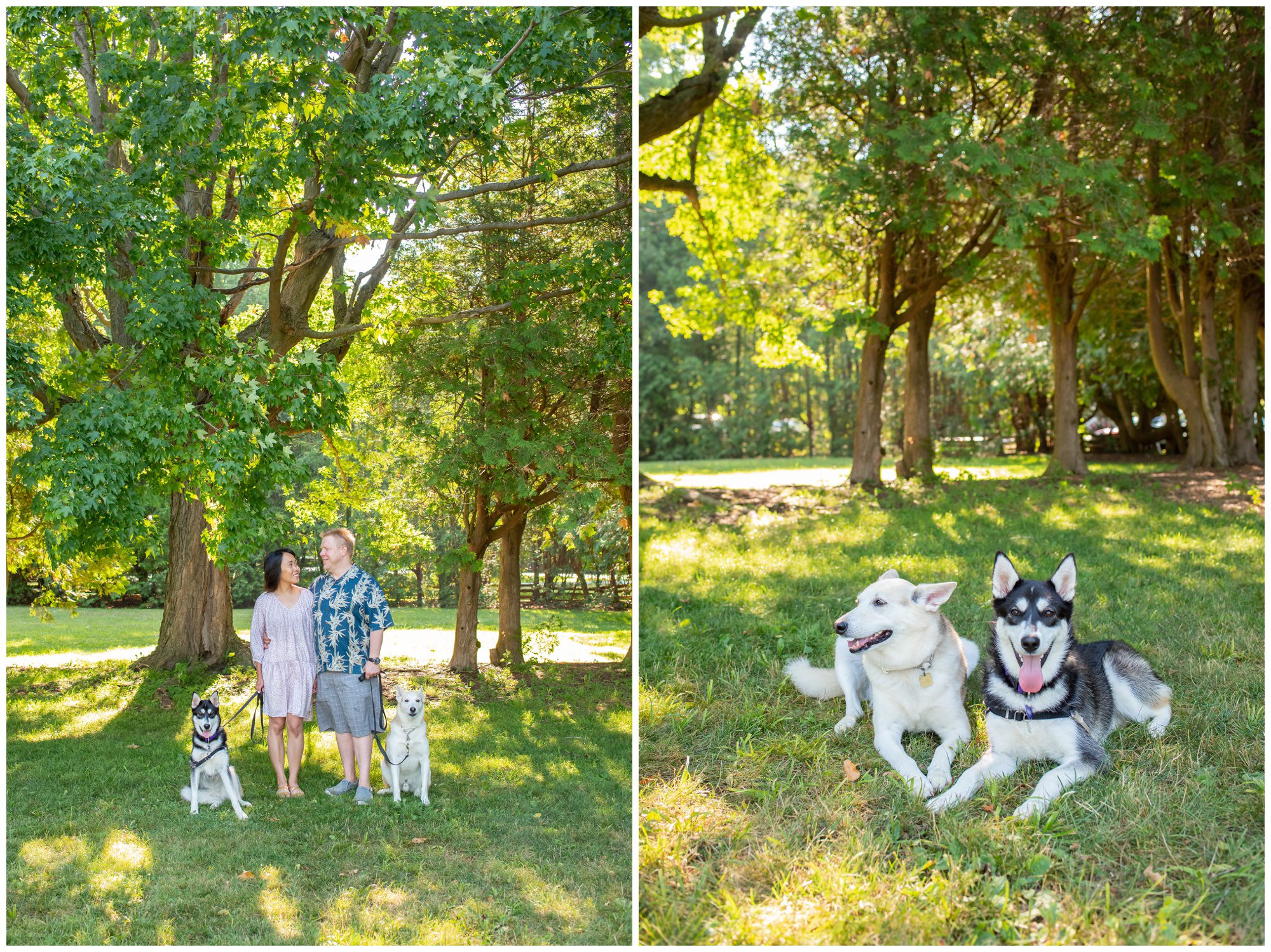 Pioneer Park Bayfield, Pioneer Park Bayfield Ontario, Bayfield Ontario Family Photography, Bayfield Ontario Family Photographer