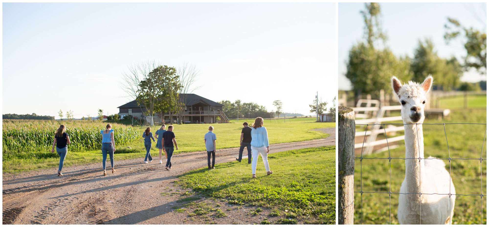 St Mary's Family Session, St Mary's Ontario Family Session, St Mary's Ontario Photographer.