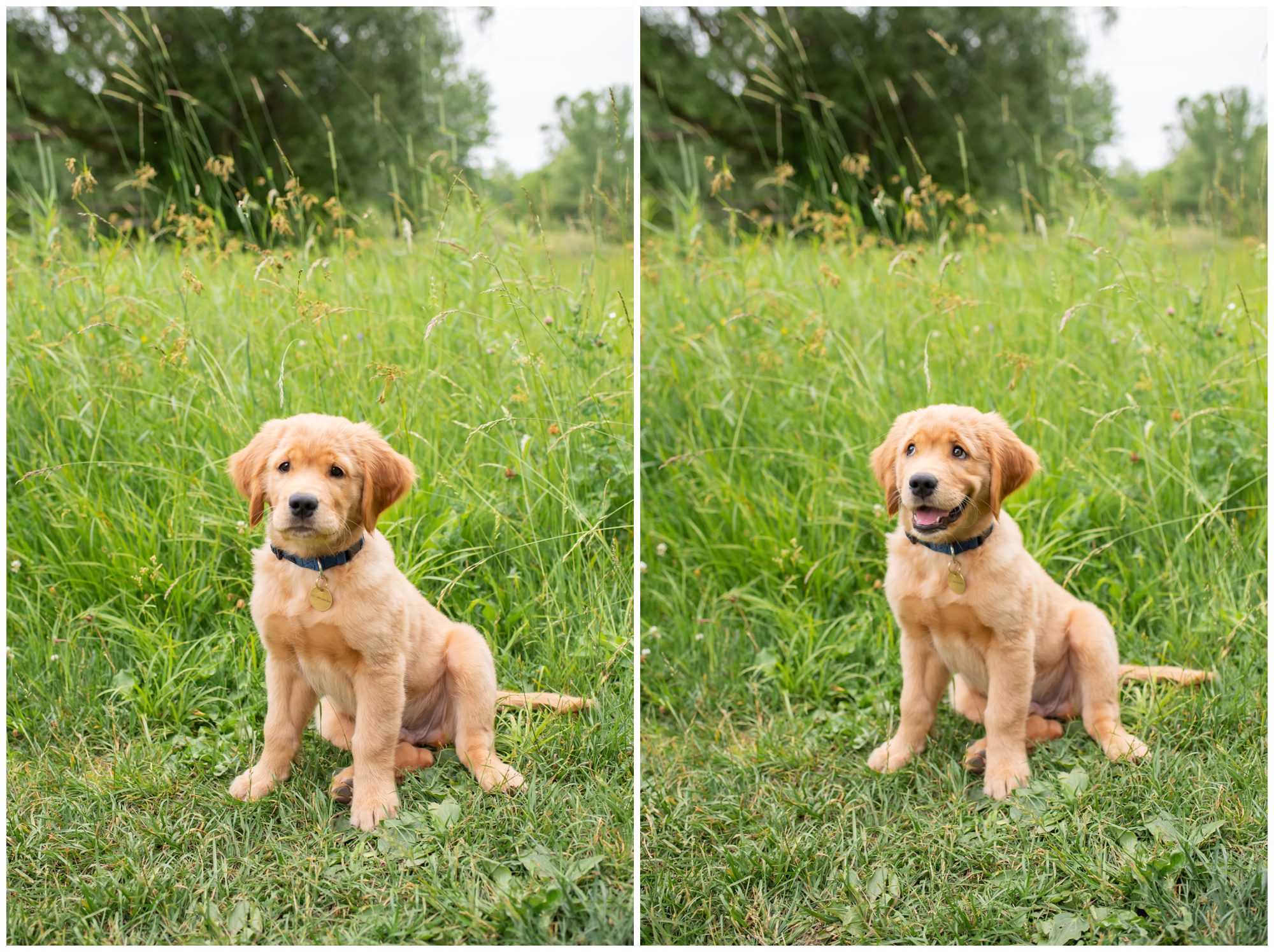 Fanshawe Conservation Area Engagement Session