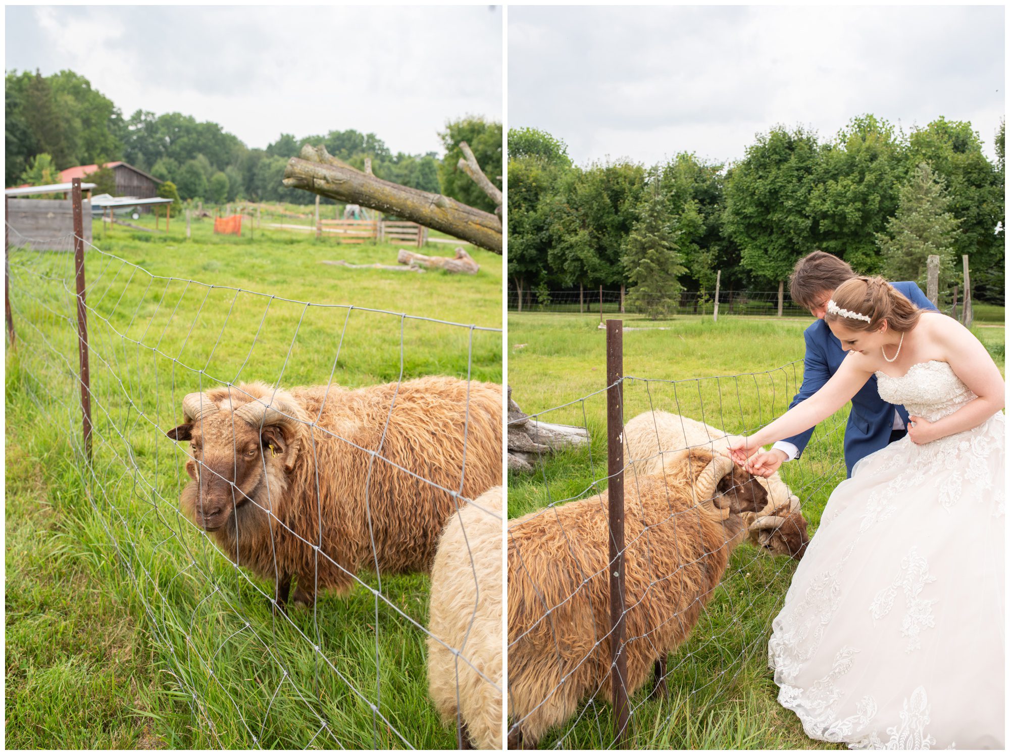 Arrowwood Farm & Events, Melbourne Ontario Wedding