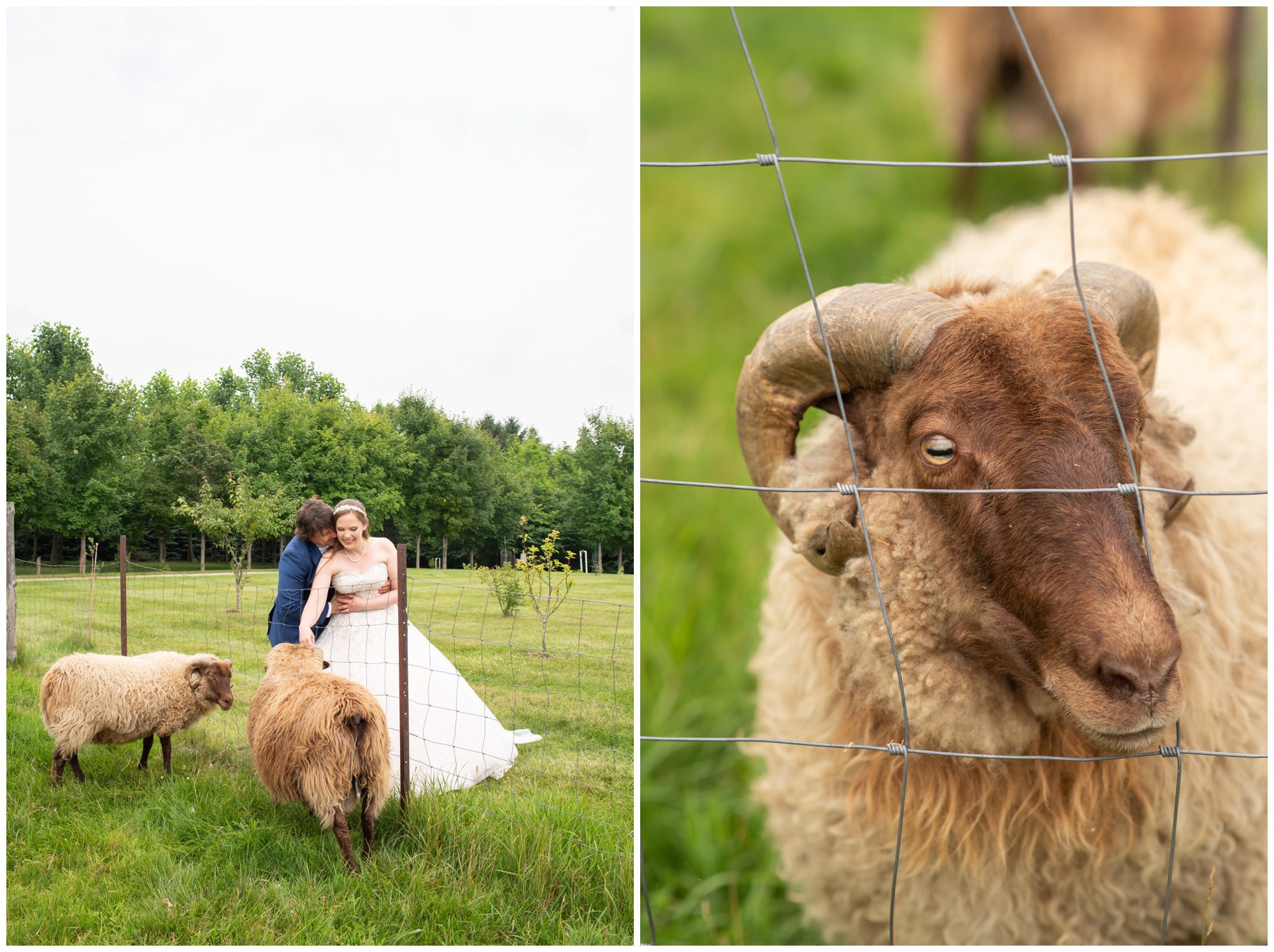 Arrowwood Farm & Events, Melbourne Ontario Wedding