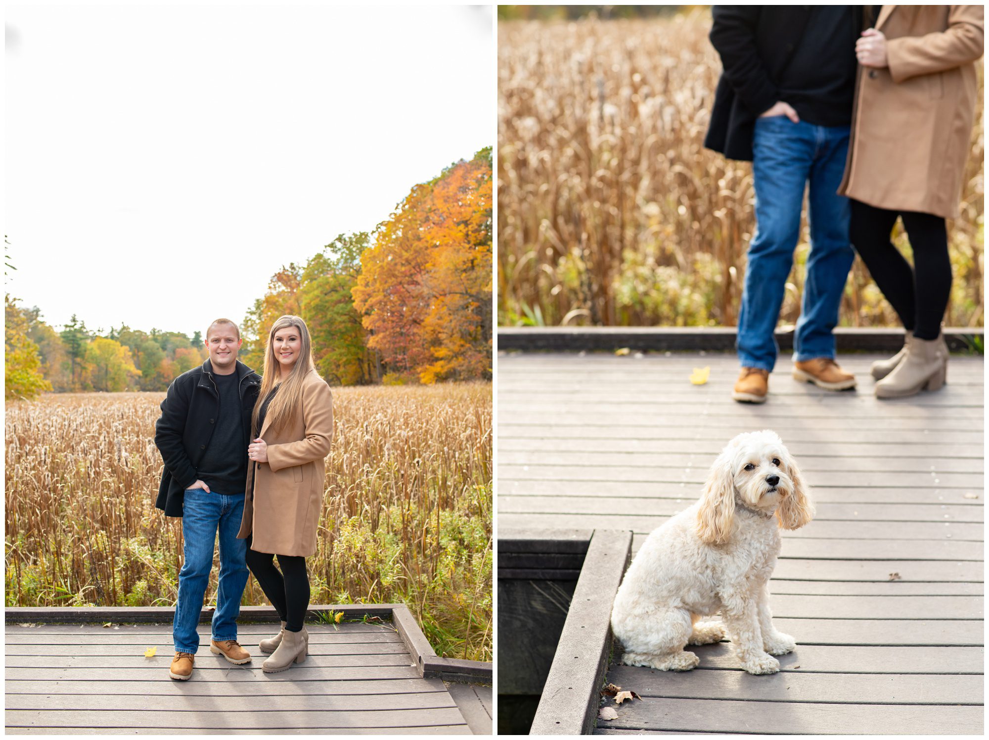 Springwater Conservation Area, Alymer Ontario Engagement Photography