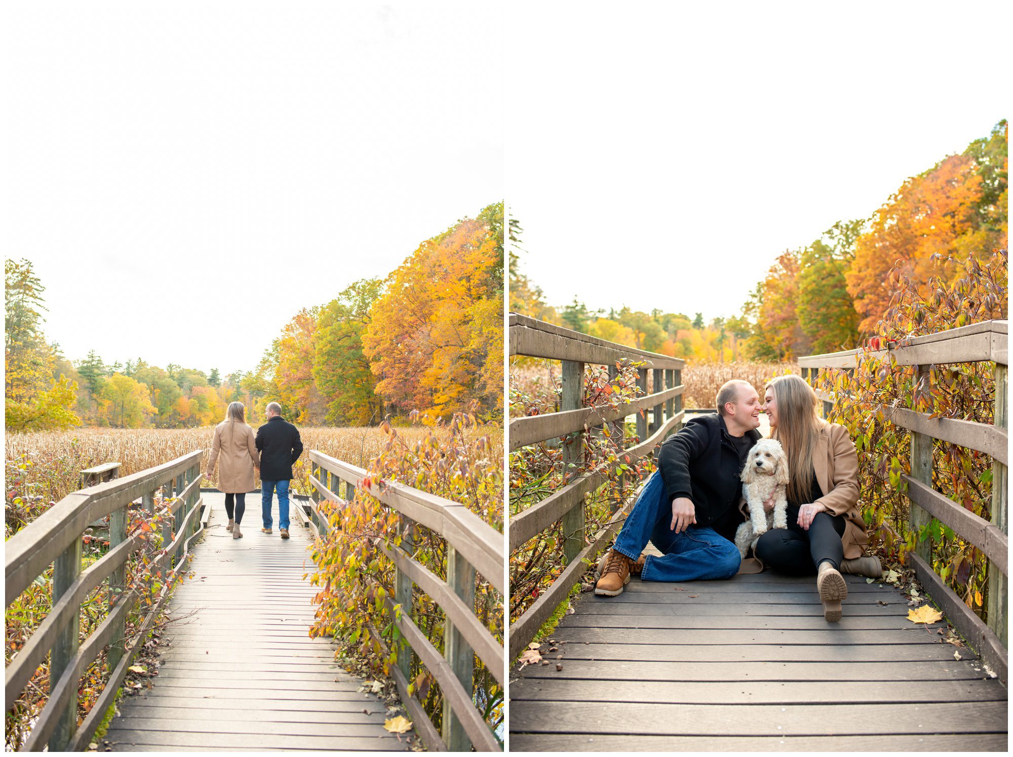 Springwater Conservation Area, Alymer Ontario Engagement Photography
