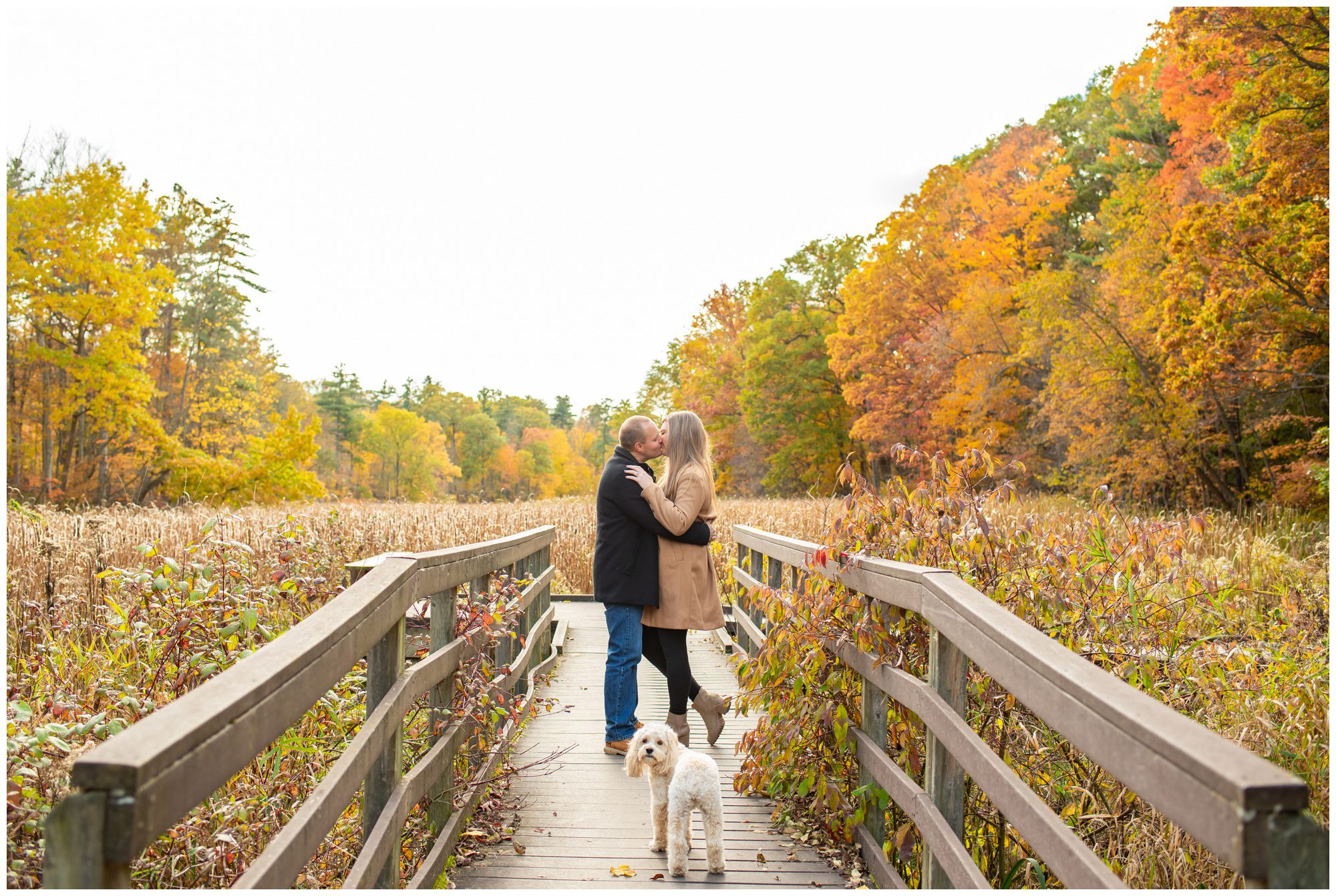 Couple kissing on a wooden bridge at Springwater Conservation Area.