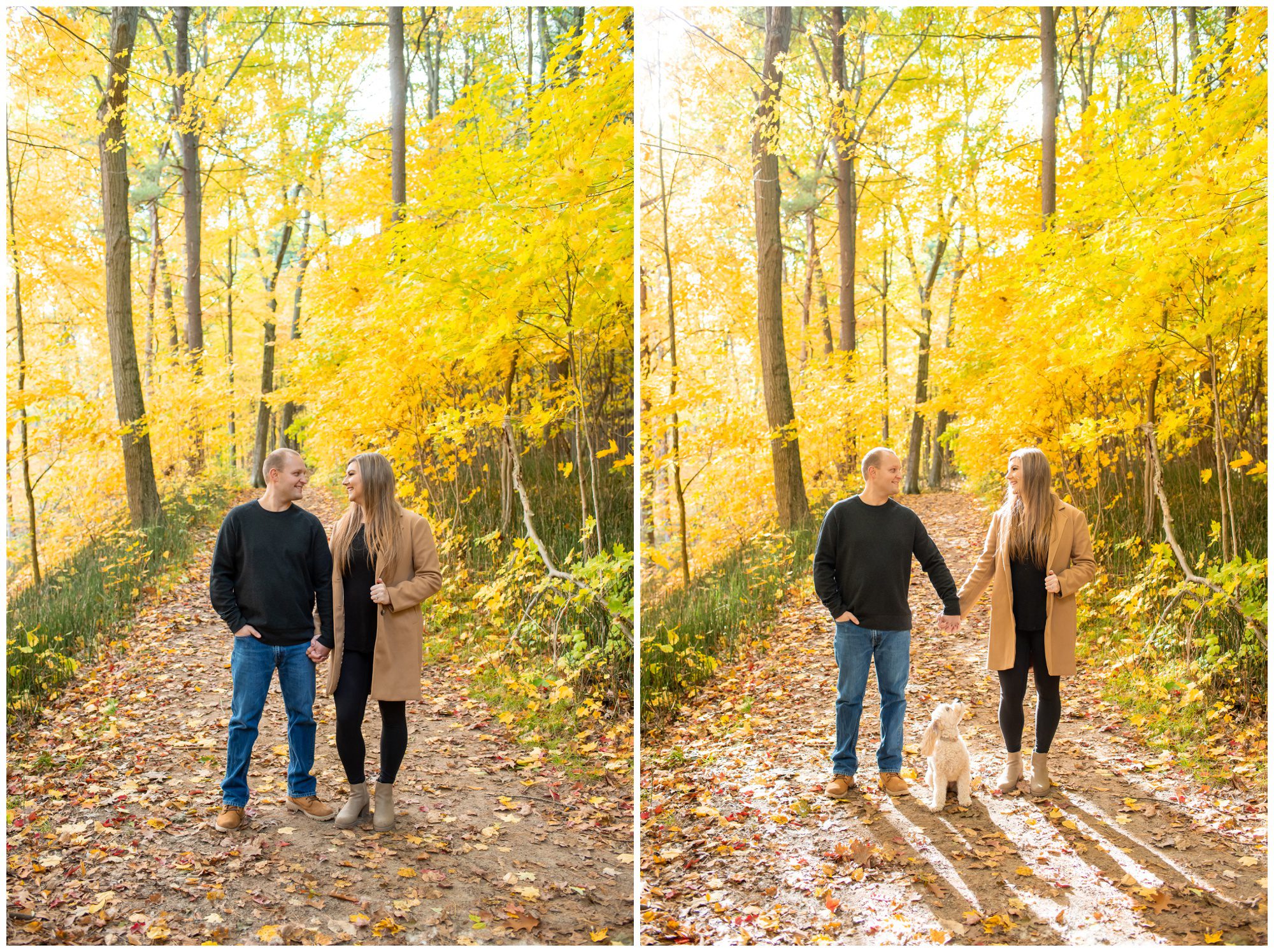 Springwater Conservation Area, Alymer Ontario Engagement Photography