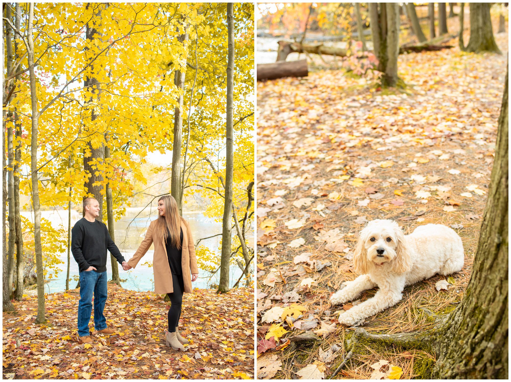 Springwater Conservation Area, Alymer Ontario Engagement Photography