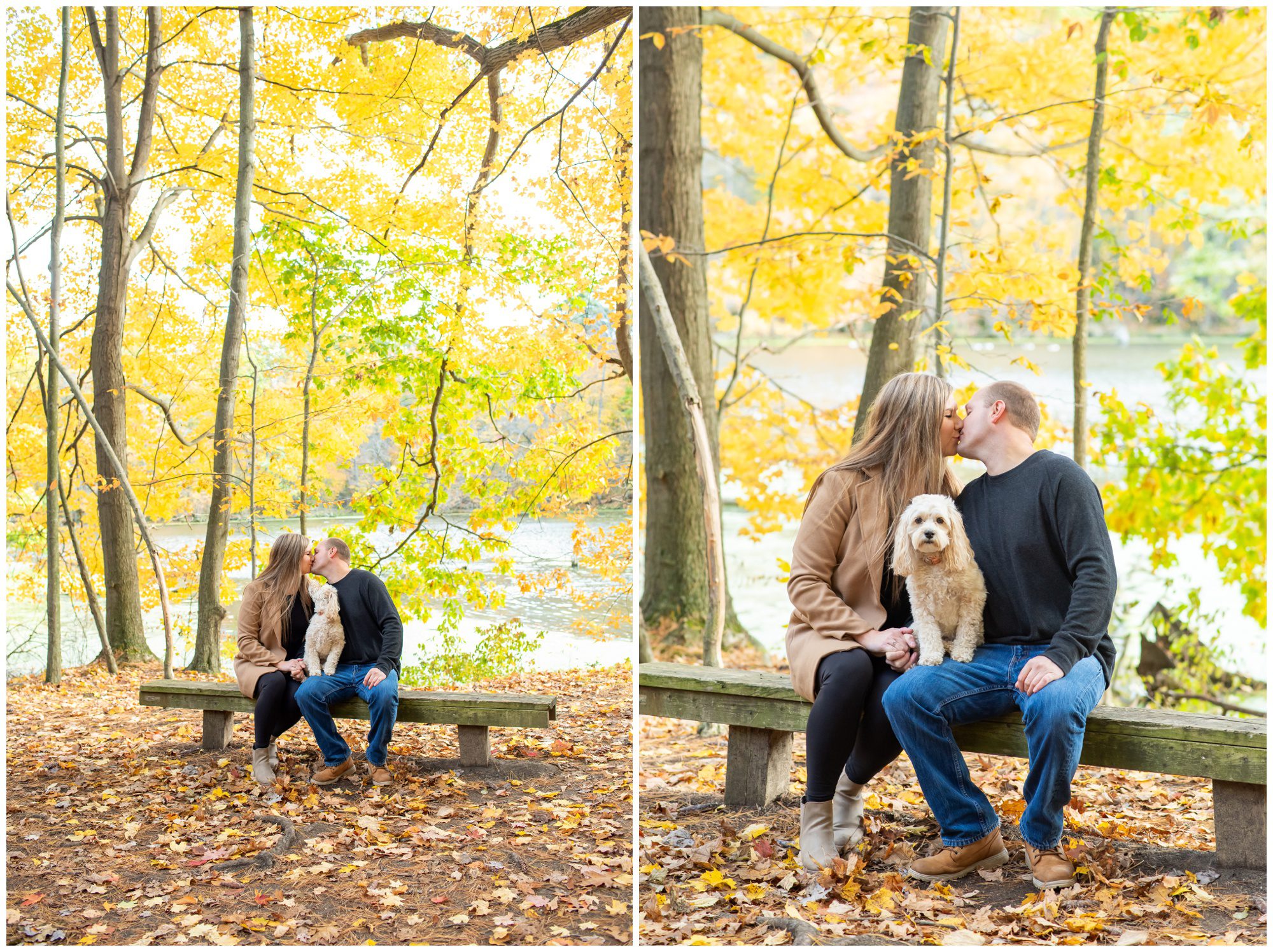 Springwater Conservation Area, Alymer Ontario Engagement Photography