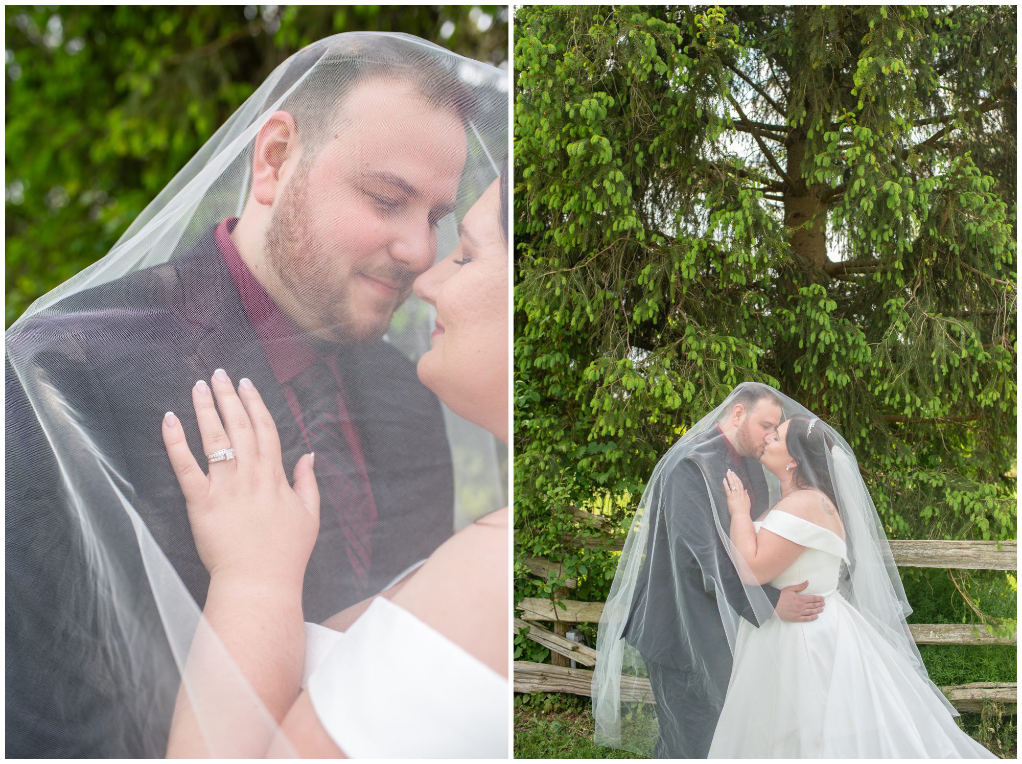 Bellamere Winery, London Ontario Wedding Photographer