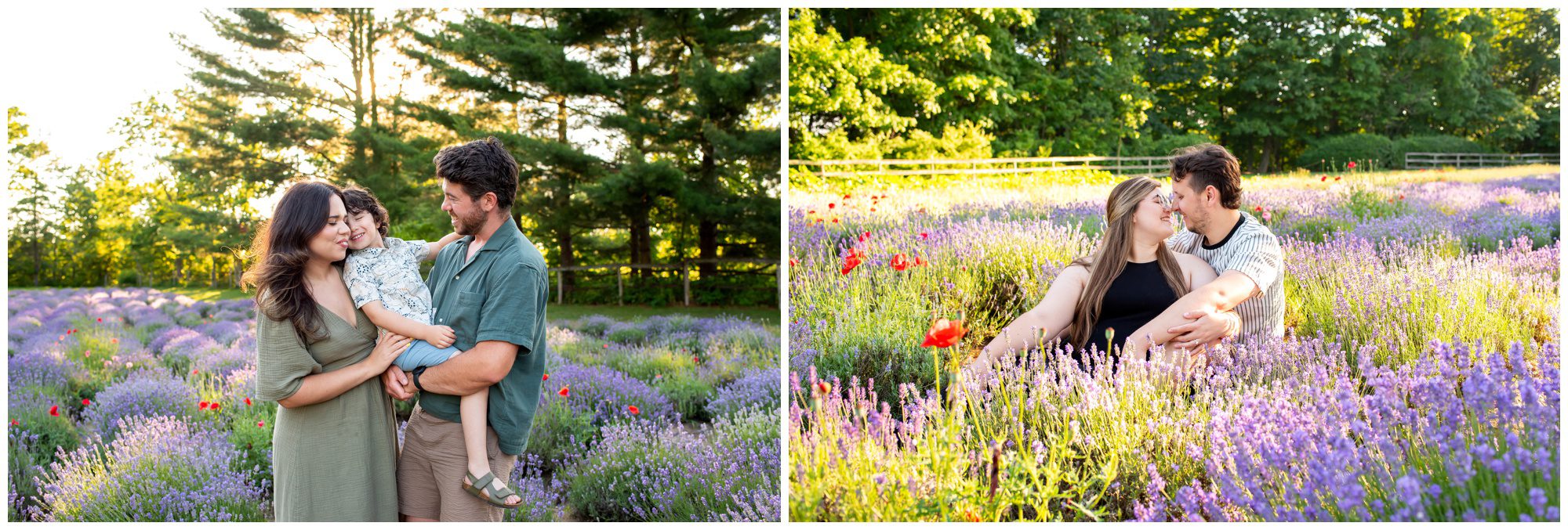 2025 Year In-Review, Southwestern Ontario Family Photographers