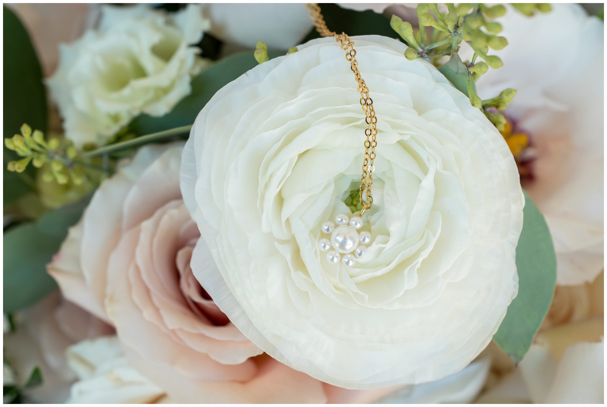 Portuguese Canadian Club of Strathroy, Strathroy Ontario Wedding Photographers