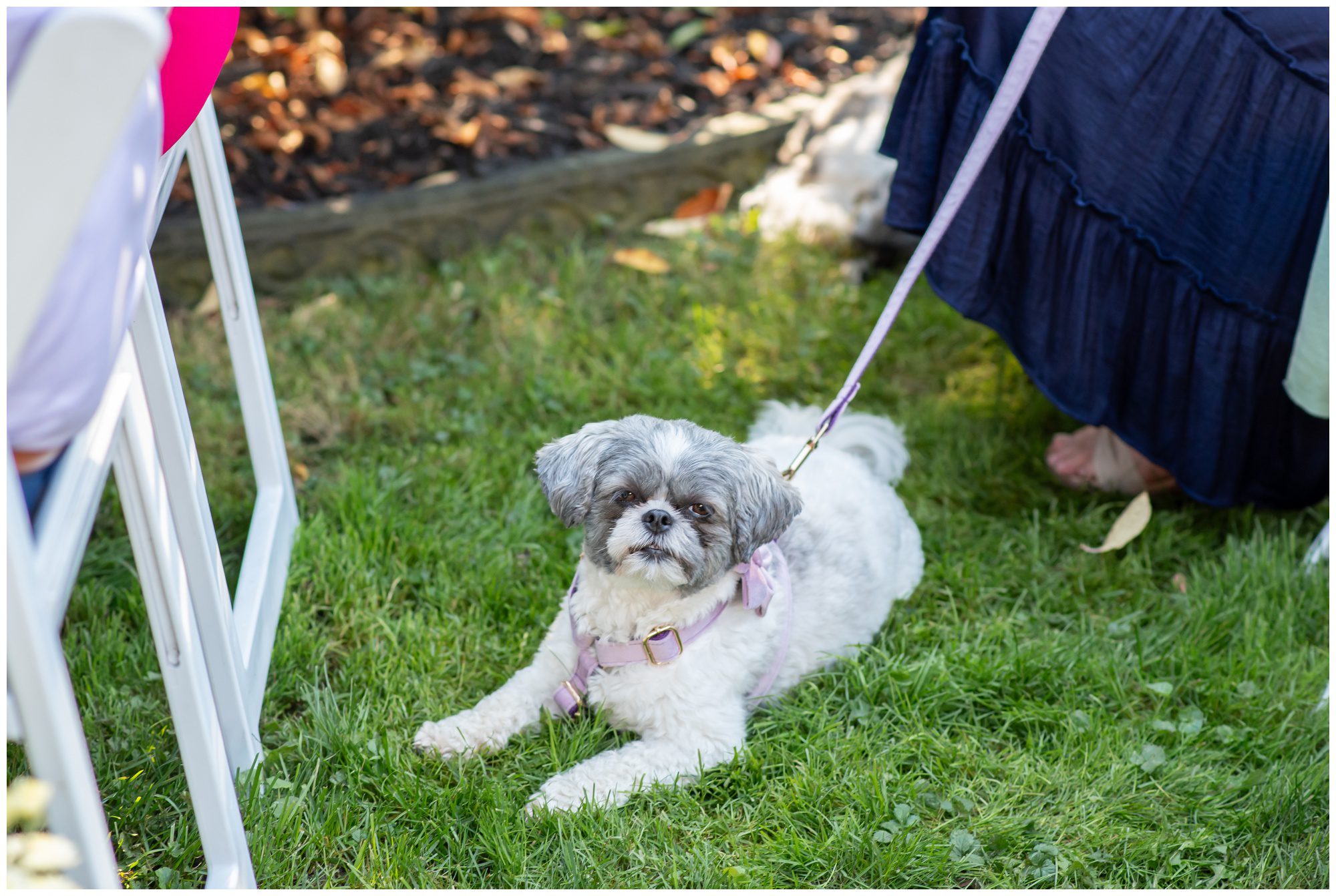 London Ontario Backyard Wedding, Michelle A Photography